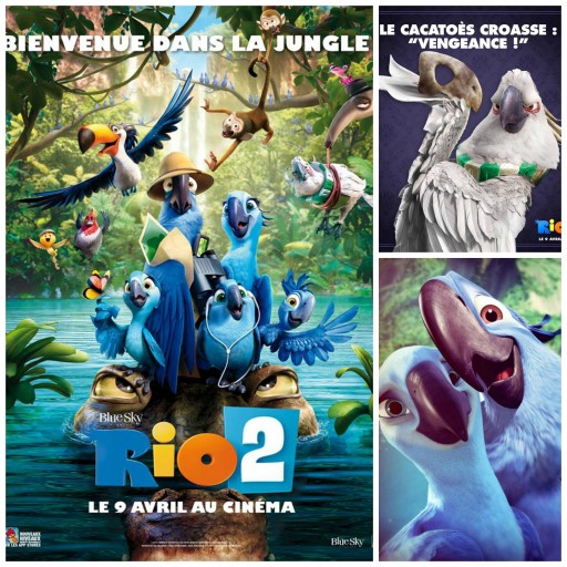 Rio 2 Une Explosion De Couleurs Et De Rires Expressions D Enfants